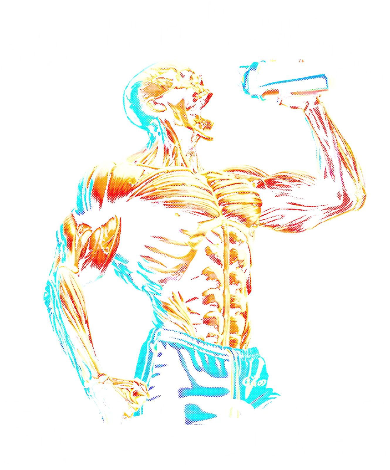 Calacas Chidas